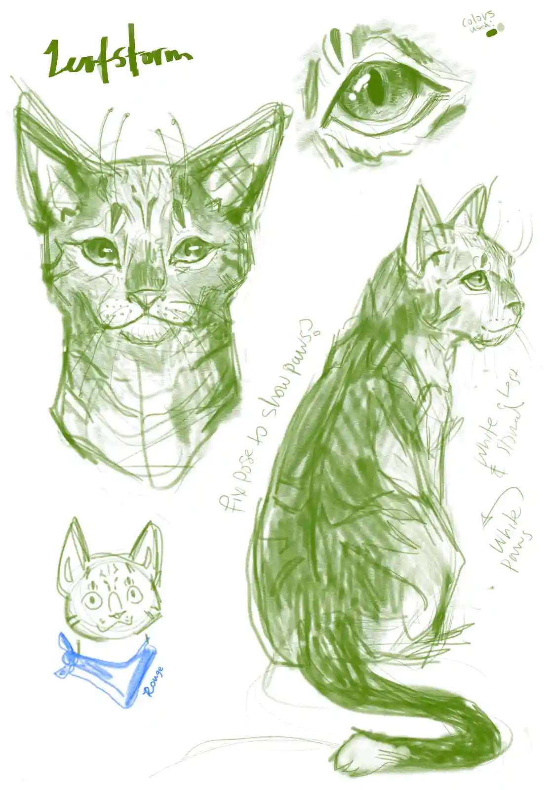 A green sketch of a cat character named 'Leafstorm' with multiple views: a full-body sitting pose, a close-up head, a…