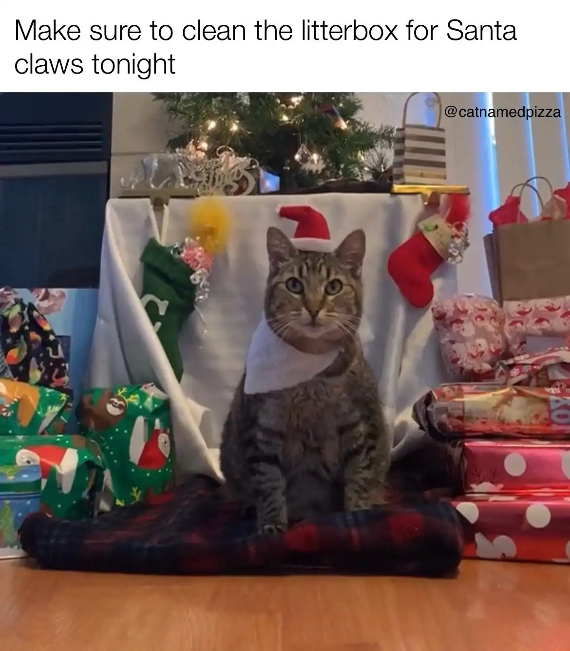 A tabby cat wearing a tiny red Santa hat and a white bib sits regally on a plaid blanket surrounded by Christmas presents…