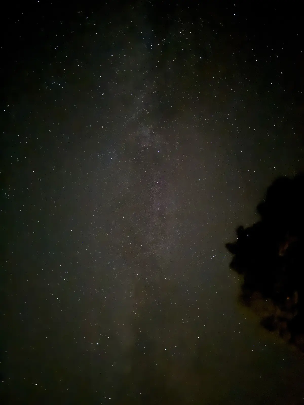 Captivating Night Sky Photography