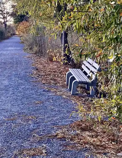 A solitary white park bench sits on a gravel path beside autumn foliage and trees, with the overlaid text 'i'm not lazy, i'm…