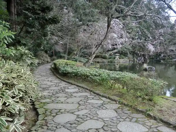 A Glimpse into March 2015: Narita, Chiba Prefecture