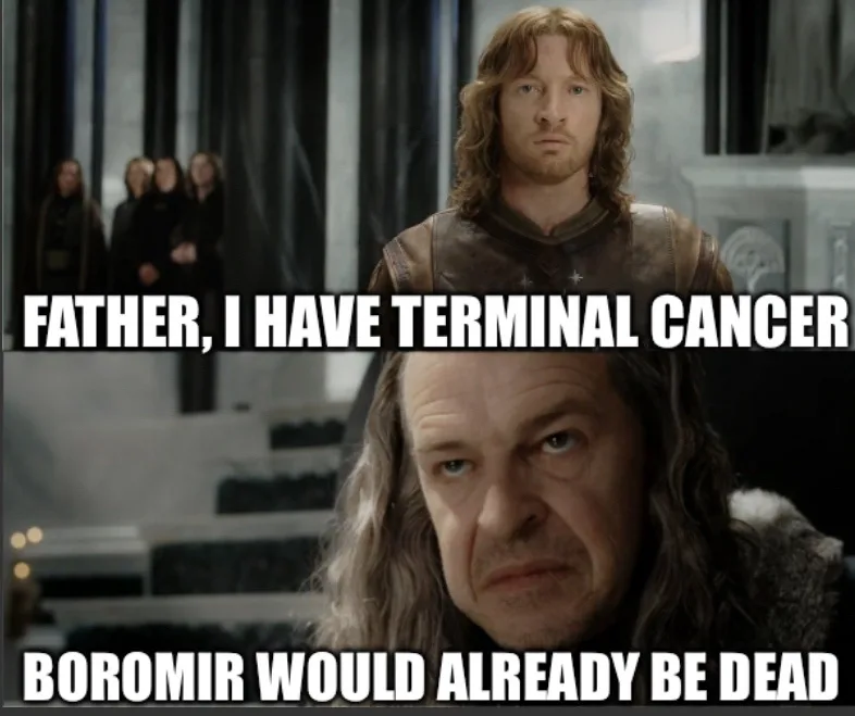 The image is a two-panel meme featuring characters from 'The Lord of the Rings'. The top panel shows a young man with long…