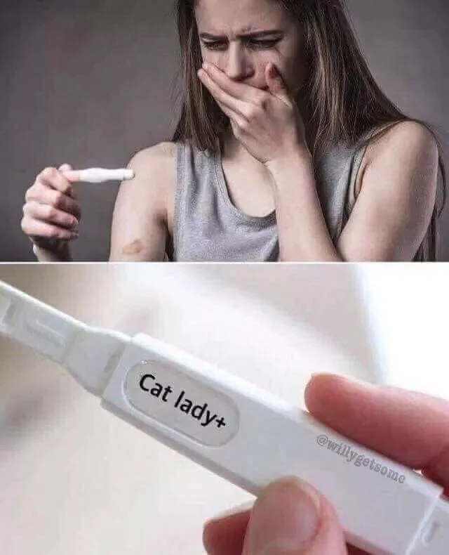 A woman with a shocked, horrified expression covers her mouth while holding a pregnancy test. The bottom panel shows a…