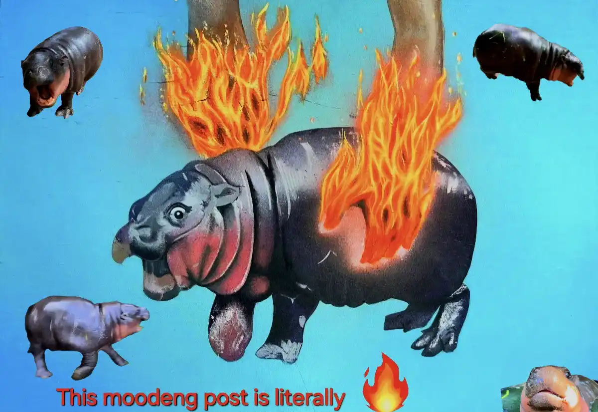A surreal image features a central hippopotamus engulfed in flames, with three other hippos floating around it against a…
