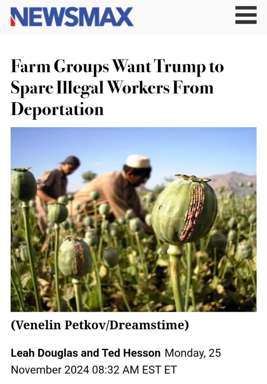 A screenshot of a Newsmax article with a headline about farm groups wanting Trump to spare illegal workers from deportation…