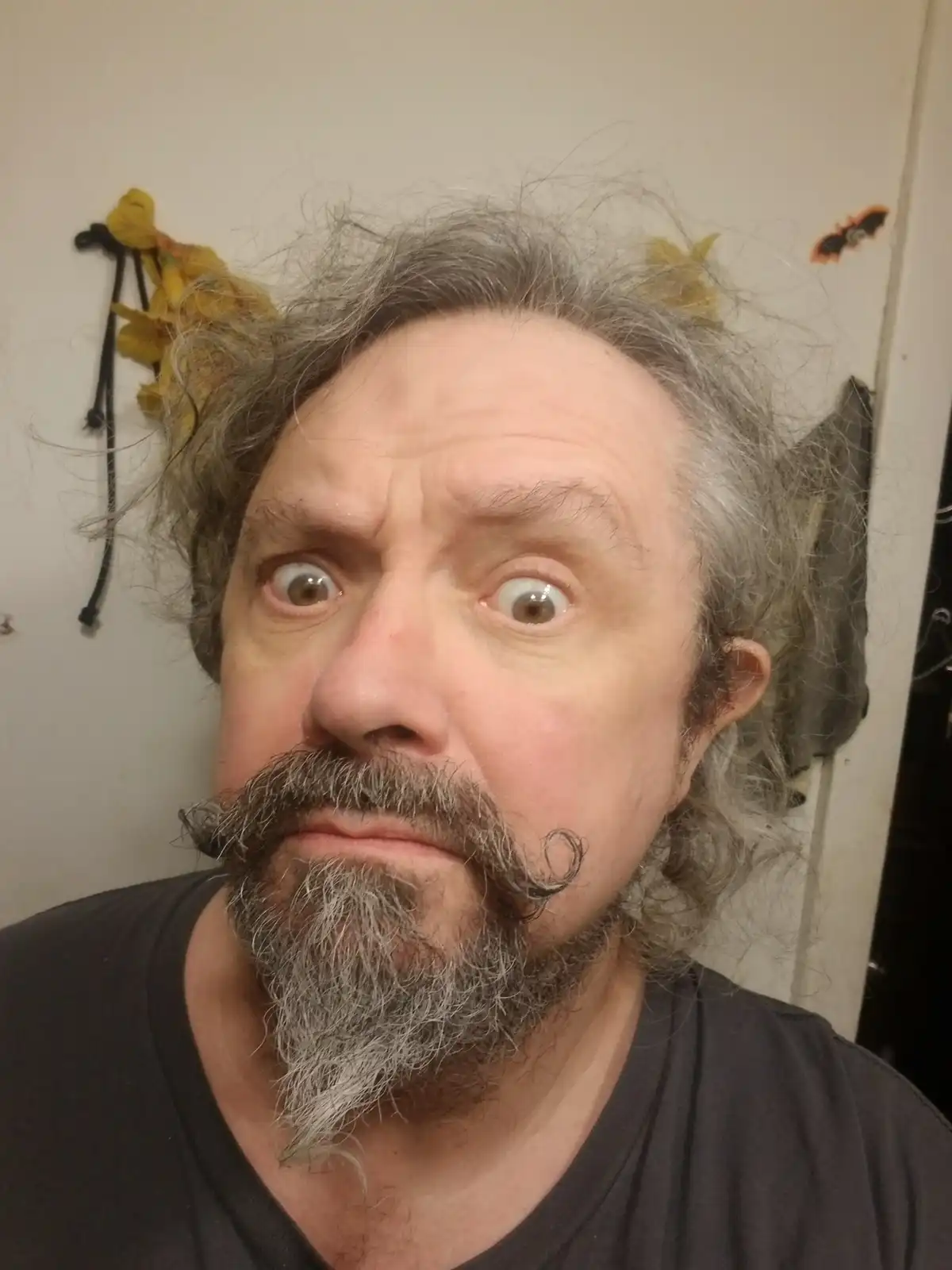 A man with gray hair and a goatee makes a wide-eyed, startled expression while wearing yellow cat ears and a bat decoration…