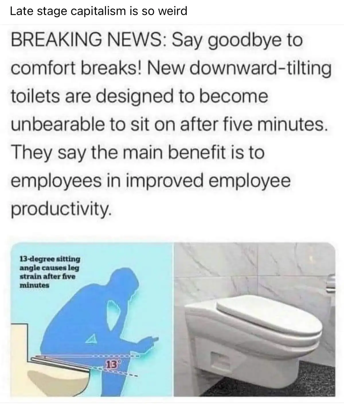 The image displays a split-screen: on the left, a diagram shows a person sitting on a toilet with a 13-degree angle labeled…