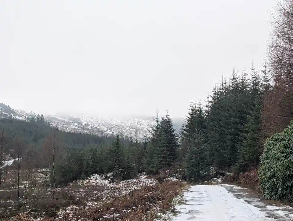 A snowy, winding forest road leads into a misty, snow-dusted mountain landscape with evergreen trees. The overlaid text…