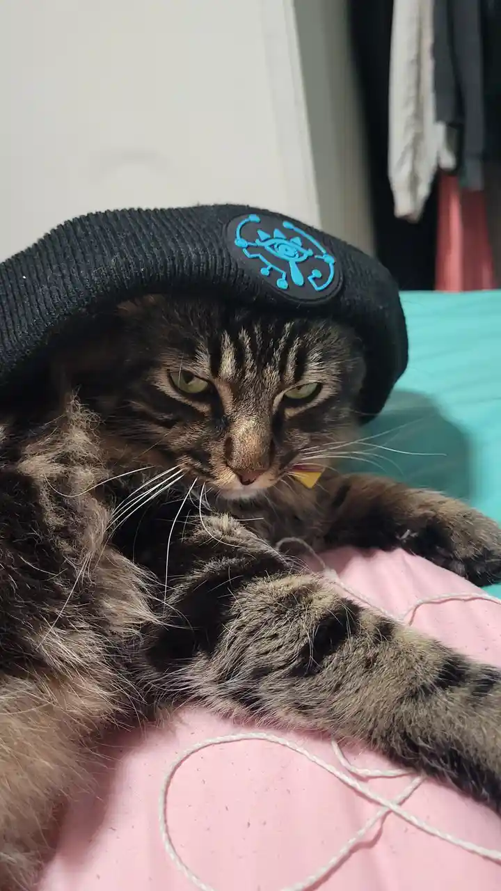 A tabby cat with green eyes lies on a pink surface, wearing a black corduroy cap with a blue 'Ocarina of Time' logo. The cat…