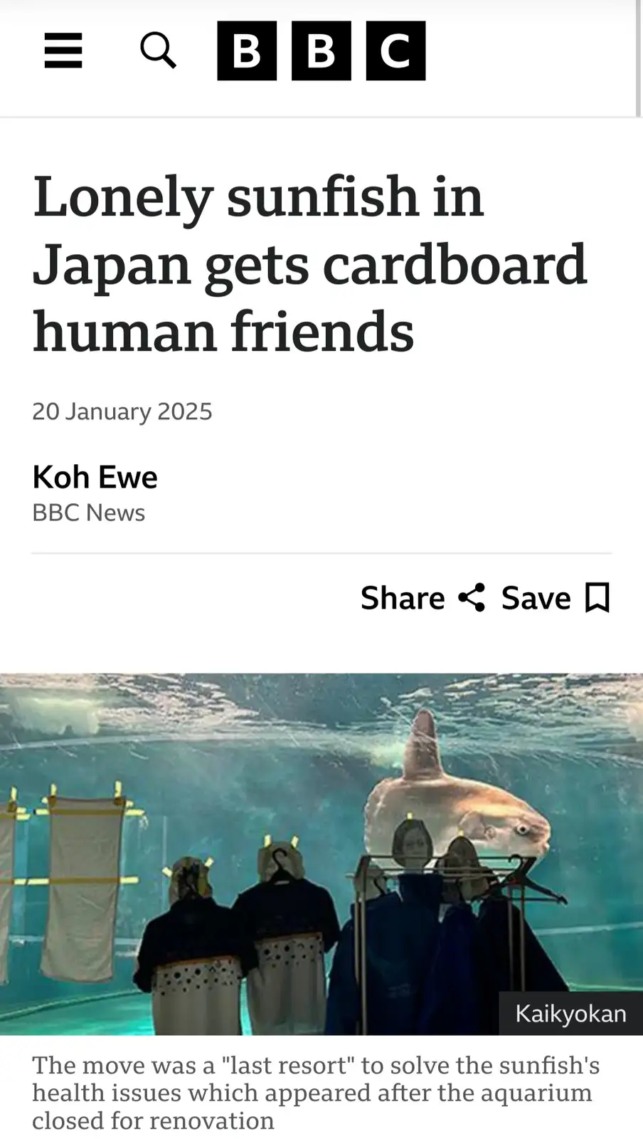 A screenshot of a BBC News article dated January 20, 2025, shows a large sunfish swimming in an aquarium tank. In front of…