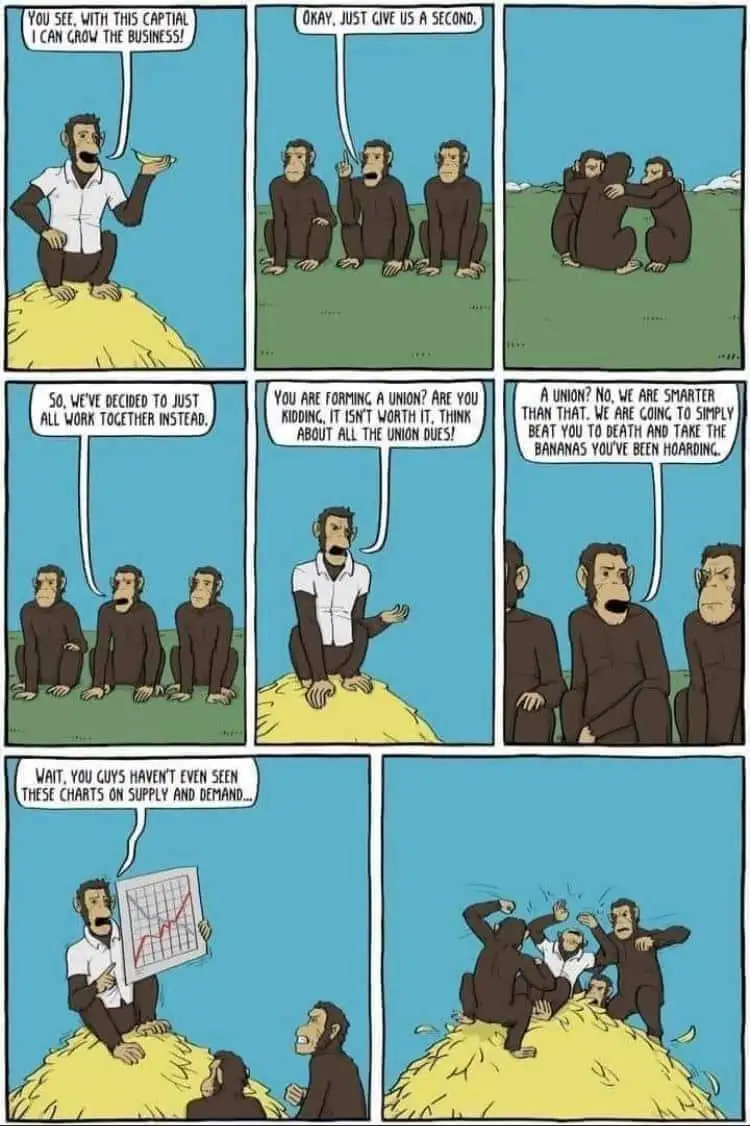 A six-panel comic strip featuring cartoon monkeys. One monkey in a white shirt sits atop a pile of bananas, boasting about…