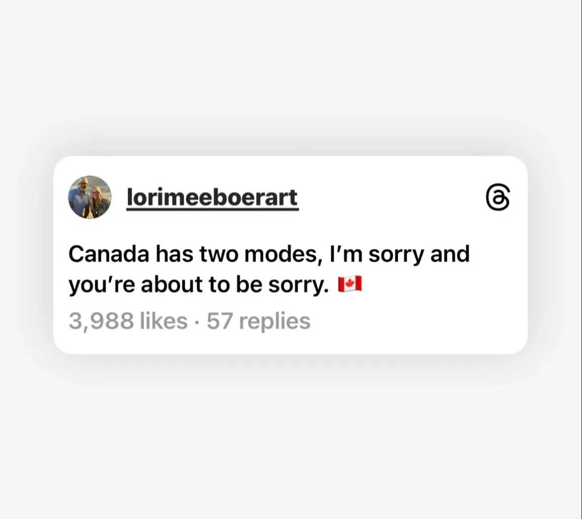 A screenshot of an Instagram comment by user 'lorimeeboerart' showing a post with the text 'Canada has two modes, I'm sorry…
