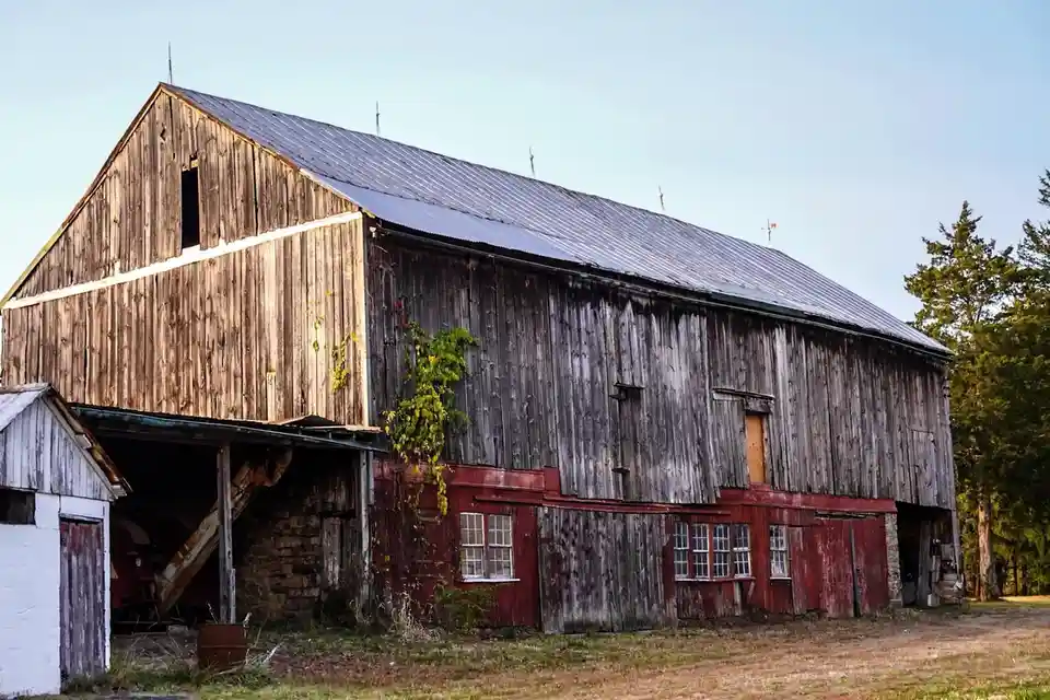 An old, weathered wooden barn with a metal roof, red-painted lower section, and vines growing on its side, set against a…