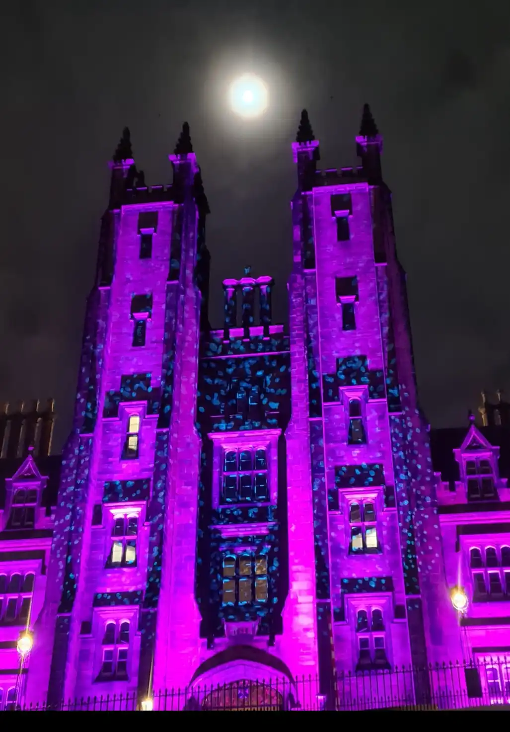 A grand, gothic-style castle is illuminated at night with vibrant purple lights, and a full moon shines brightly in the dark…
