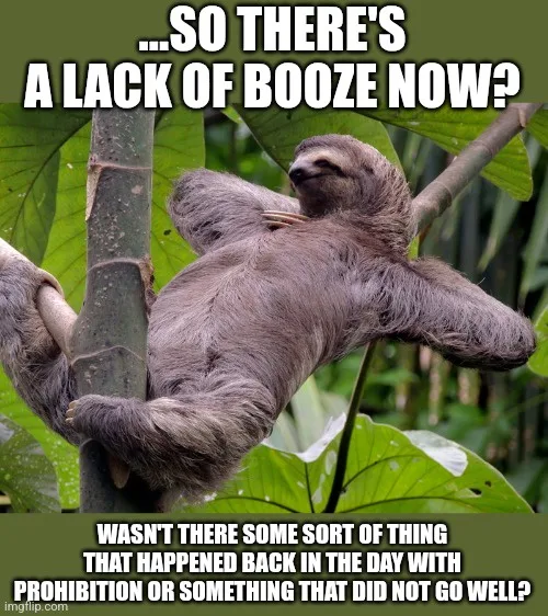 Everyone Was Cool with Quitting Alcohol, Right?