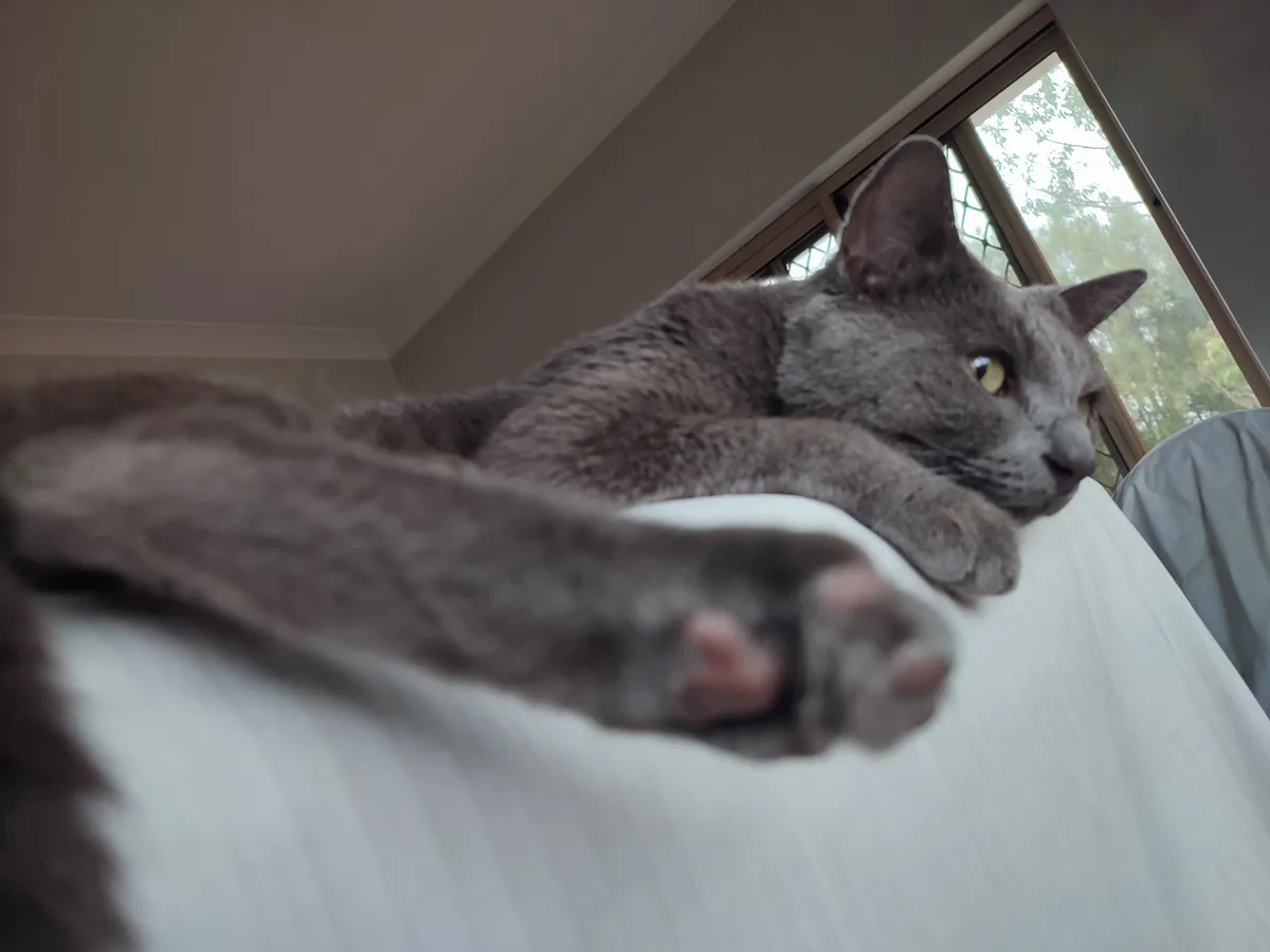 Did You Seriously Just Snap a Pic of My Beans?