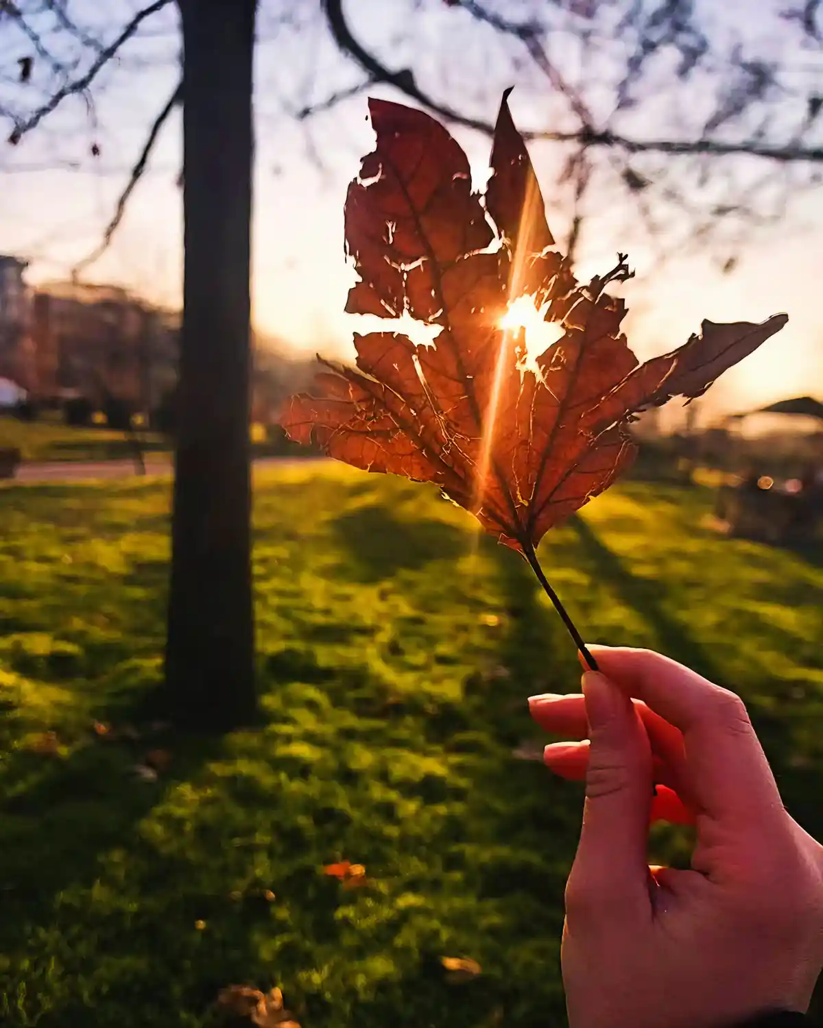 A hand holds a tattered, brown autumn leaf against a setting sun, with sunlight streaming through the holes in the leaf. The…