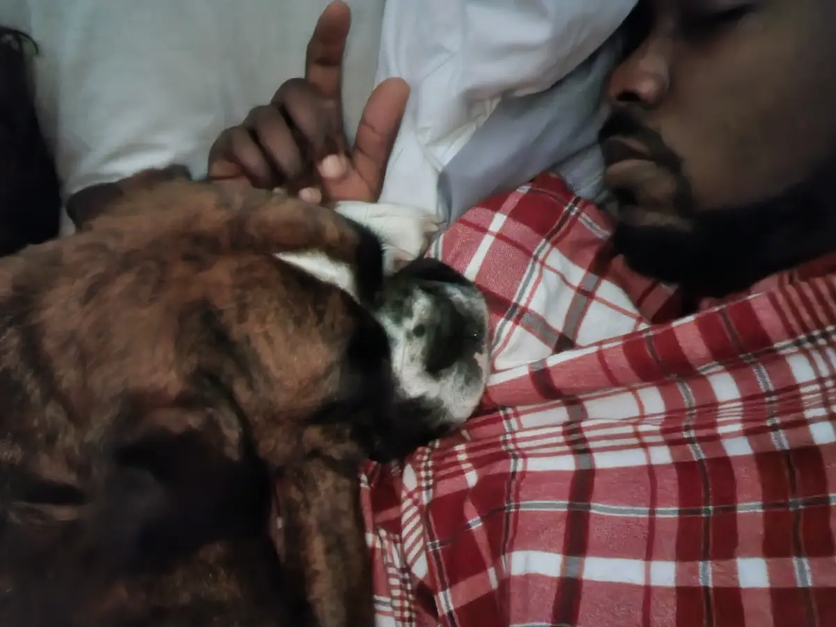 Adorable Dog Moments That Melt Your Heart