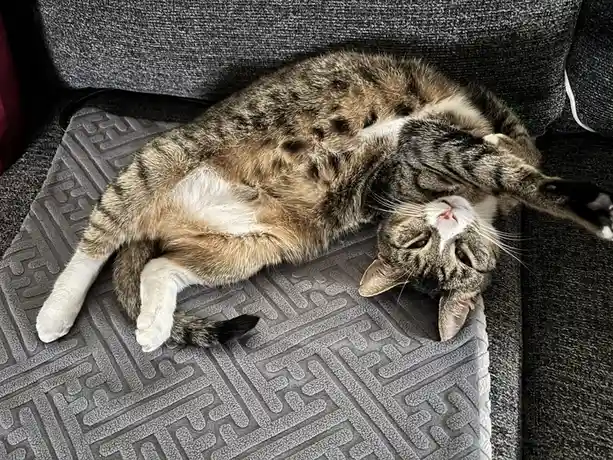I have a feeling she’s really into it.