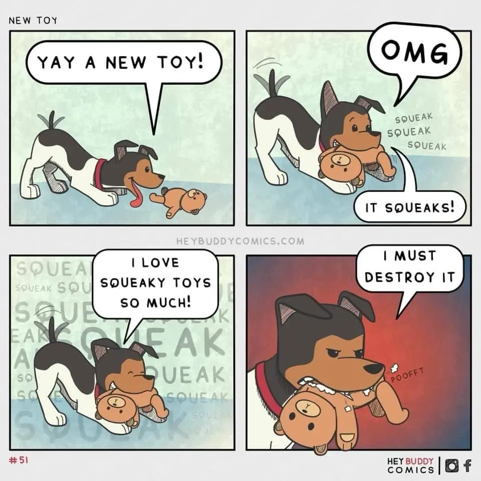 A four-panel comic strip shows a cartoon dog's reaction to a new squeaky toy. Initially excited, the dog discovers the toy…