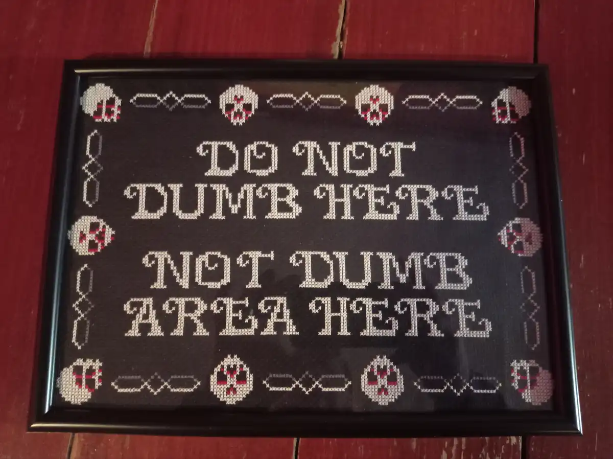 A framed cross-stitch sign on dark fabric with white and red thread, featuring the text 'DO NOT DUMB HERE' and 'NOT DUMB…