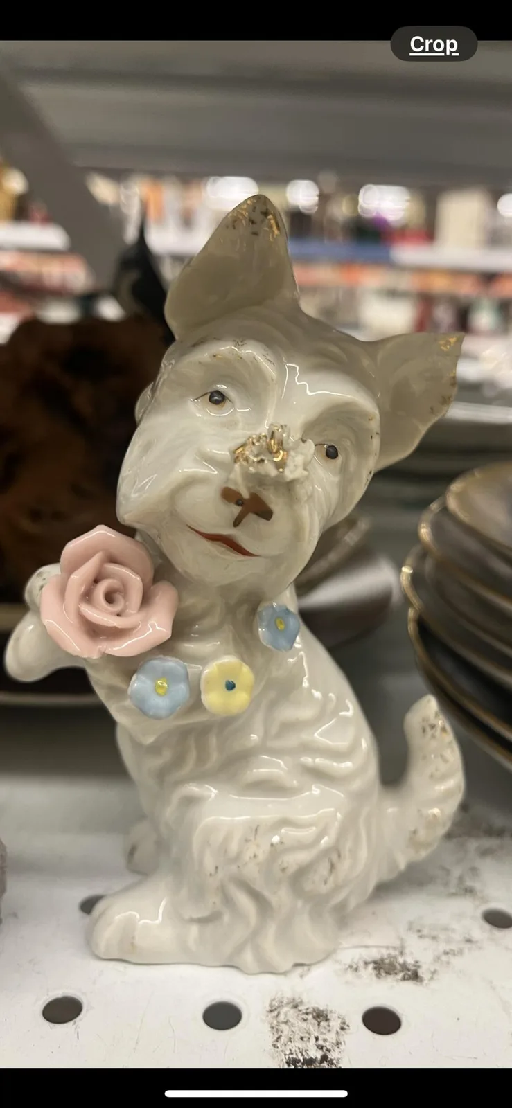 Spotted: a creepy human-dog hybrid at Savers!