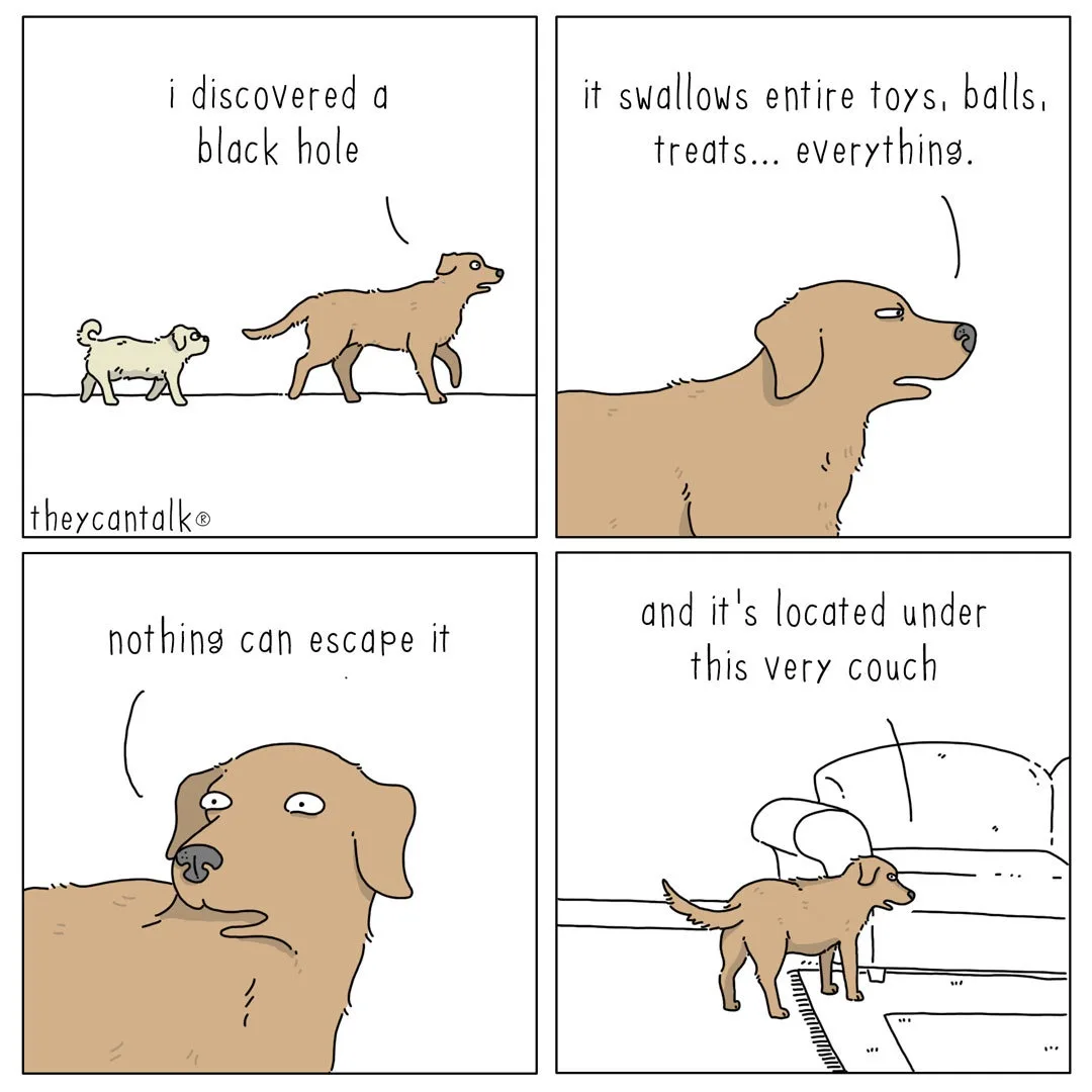 A four-panel comic strip shows a small dog telling a larger dog about a 'black hole' under their couch that swallows…