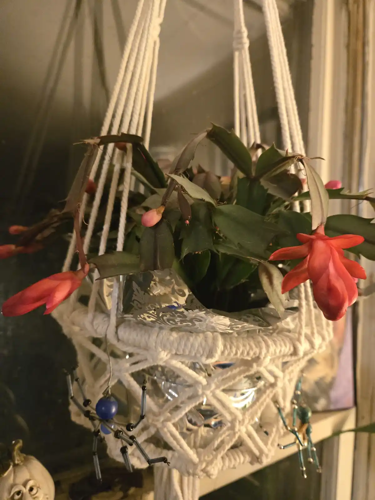 Keep Blooming and Shining Bright!