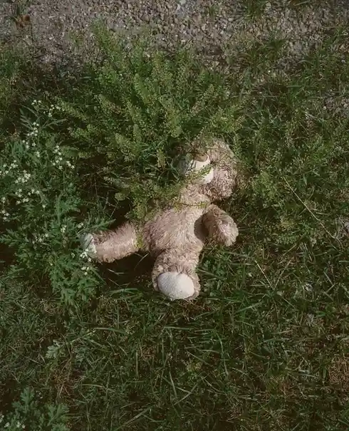 Meet Lana Bear: The Cuddly Companion You Need