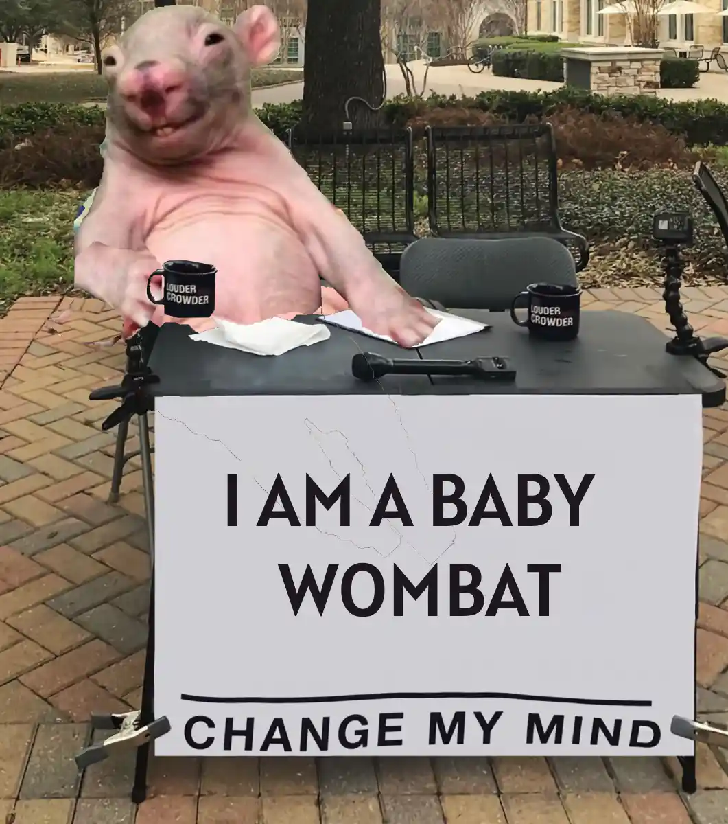 Introducing the cutest baby wombat ever!