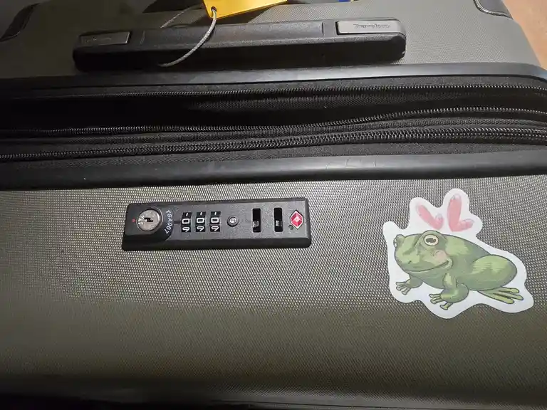A close-up of a dark gray Travelpro suitcase shows a combination lock set to '000' and a cartoon frog sticker with pink…