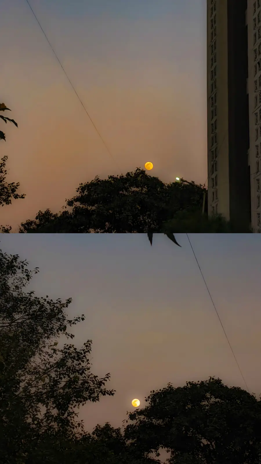 Two photos show a bright, full, yellowish moon rising over tree silhouettes against a twilight sky; the top image includes a…