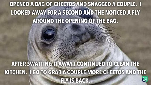 A close-up image of a seal with large, expressive eyes and a slightly smug or knowing expression. White text is overlaid in…