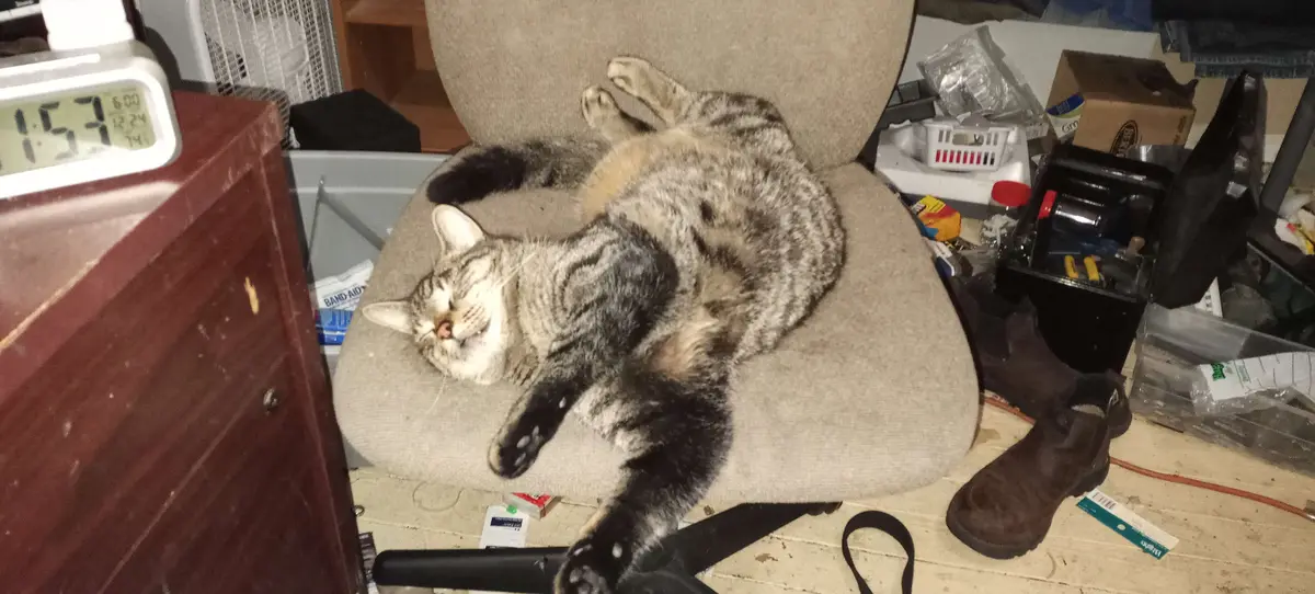A tabby cat is lying on its back on a beige office chair, paws up, appearing deeply asleep in a messy room with cluttered…