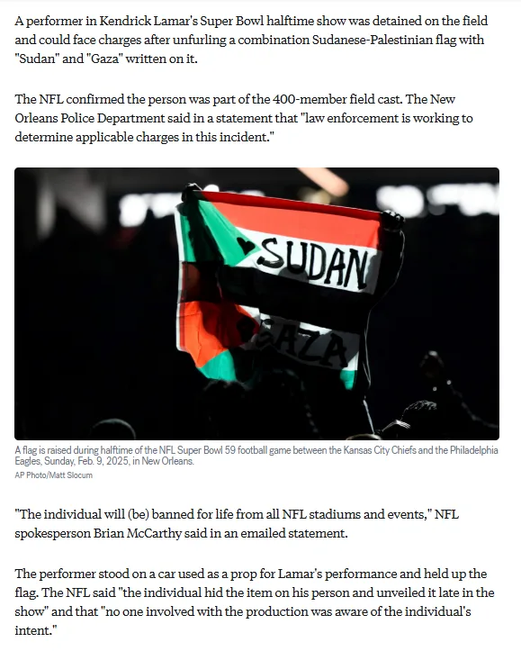 A close-up image shows a person holding a flag with horizontal stripes of red, white, and black, and green triangles on the…