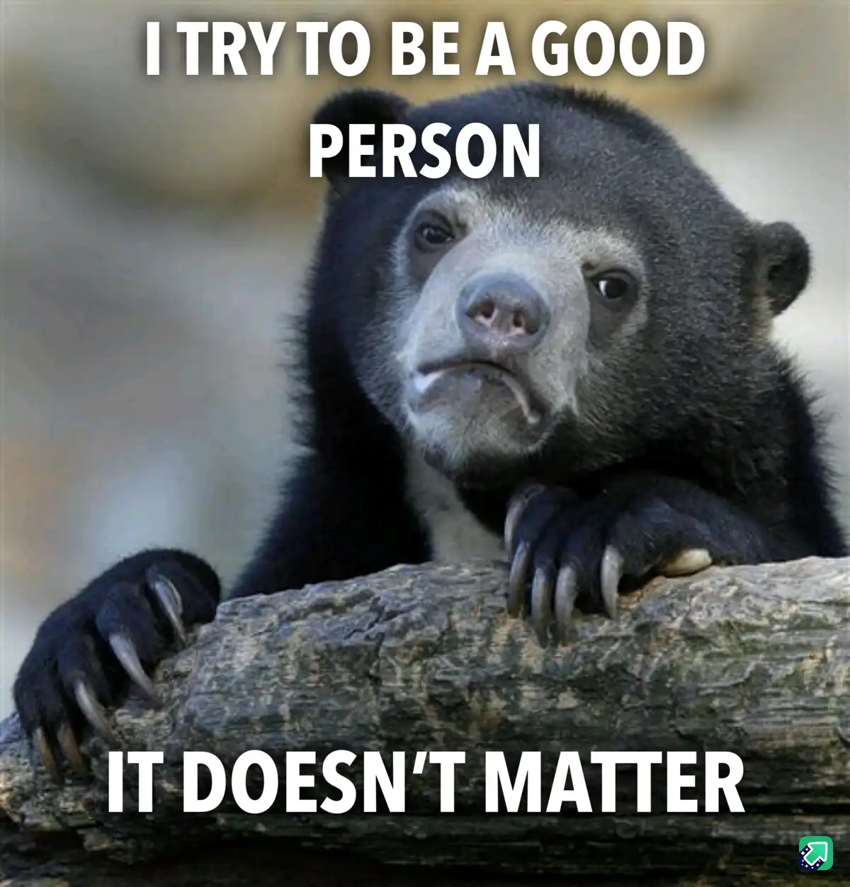 It just doesn't matter anymore