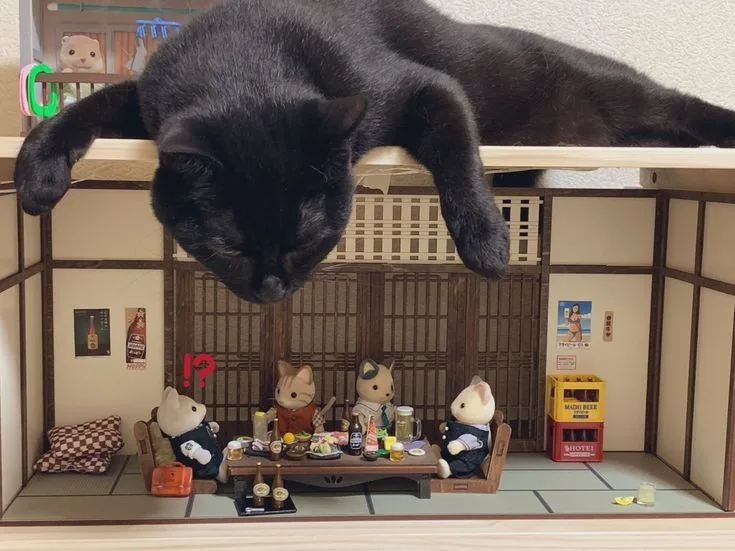 A large black cat is seen hanging upside down from the top shelf of a miniature Japanese-style dollhouse, its head and front…