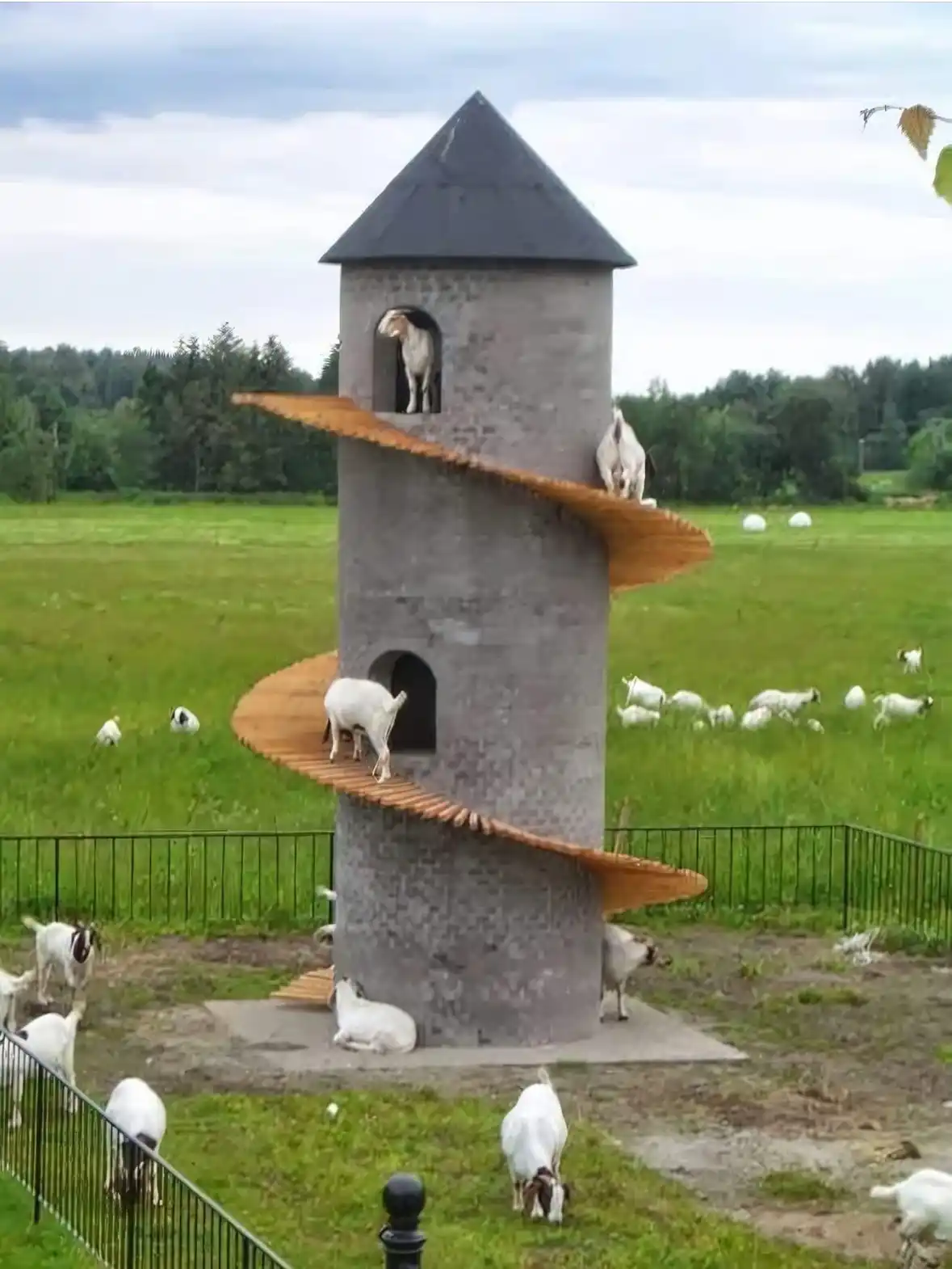 A stone tower with a spiral wooden staircase wraps around its side, with multiple white goats climbing, standing, or resting…