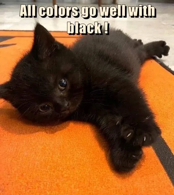 Absolutely, It Does!