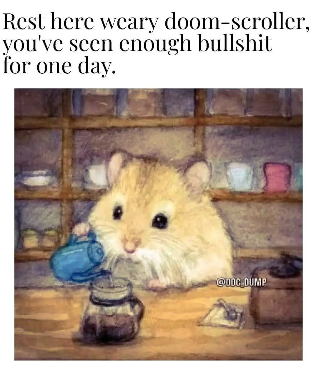 A watercolor-style illustration shows a fluffy, light-brown hamster sitting at a wooden counter, pouring tea from a small…