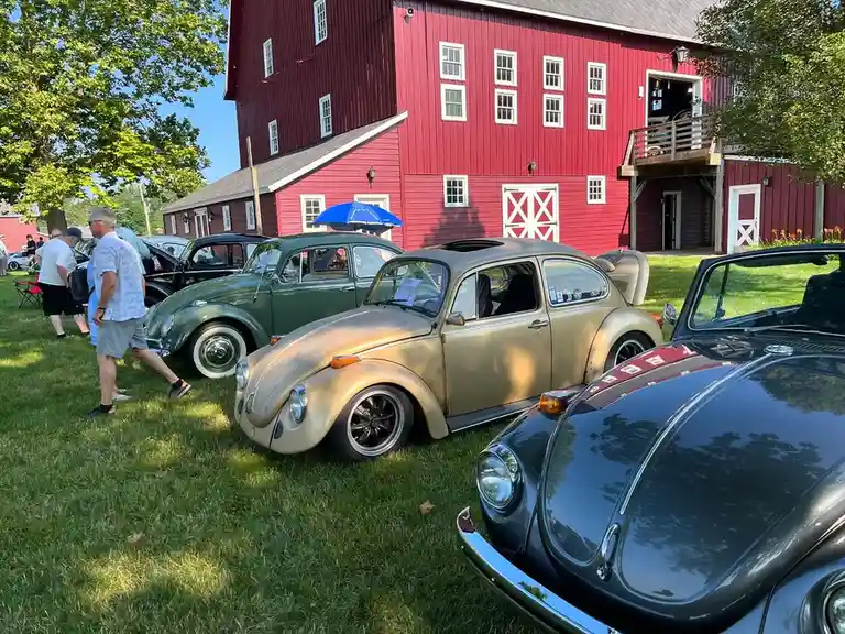 Several vintage Volkswagen Beetles are parked on grass in front of a large red barn. People are walking around admiring the…