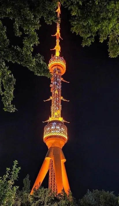 A tall, illuminated tower with a distinctive tiered, ornate design is photographed at night, framed by dark green tree…