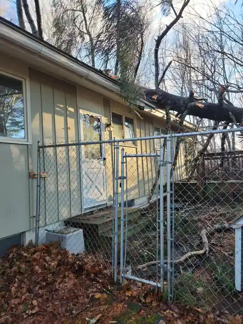 A large tree branch has fallen onto the roof of a light-colored house, with a chain-link fence in the foreground. The text…