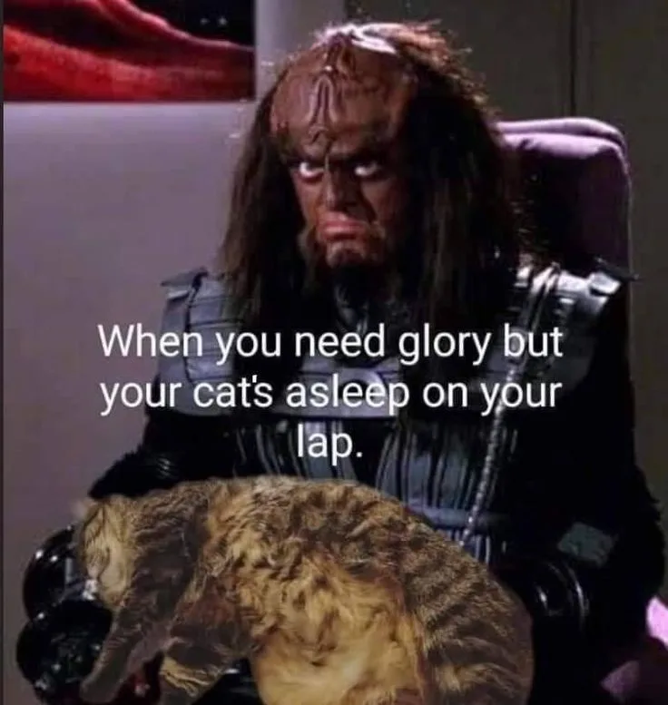A still image of the fictional character Worf from Star Trek: The Next Generation, seated in a chair with a tabby cat…