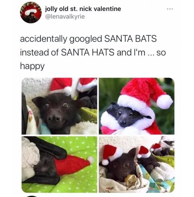 A four-panel image collage shows small, dark-furred baby bats wearing red and white Santa hats. The top-left panel shows a…