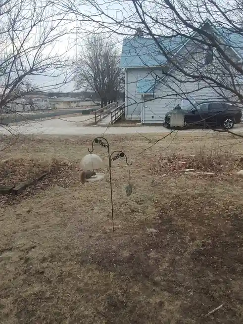 No Snow in Southern Minnesota: Sorry, Florida, Not Today!