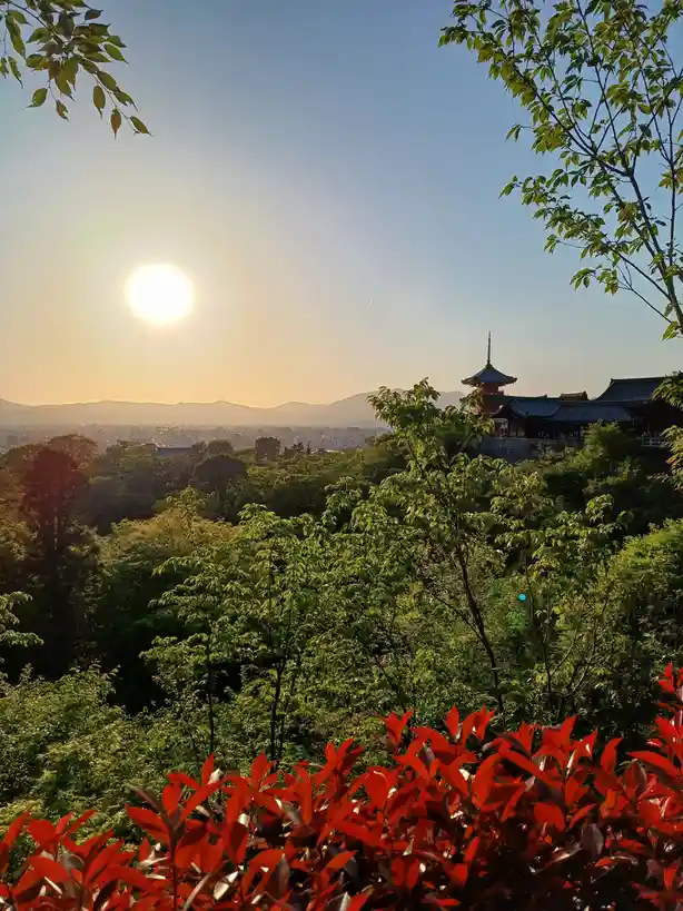 A scenic photo shows a traditional Japanese temple perched on a hill, surrounded by lush green trees and vibrant red foliage…