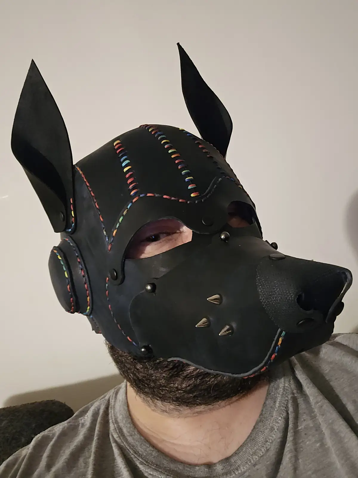 A person with a beard and grey t-shirt wears a black leather pig mask with pointed ears, colorful stitching, and metal…