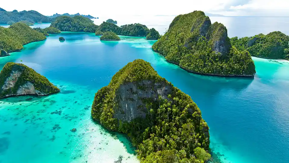 Off Bird's Head Peninsula, Raja Ampat islands dominate the Coral Triangle's center, a region where the Pacific and Indian…