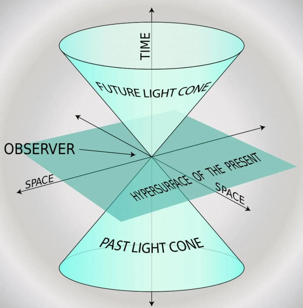 A diagram showing a spacetime light cone with 'TIME' vertical axis, 'FUTURE LIGHT CONE' above, 'PAST LIGHT CONE' below, and…